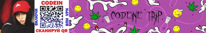 где купить наркотик  Кировск  Кодеиновый сироп Lean Purple Drank 